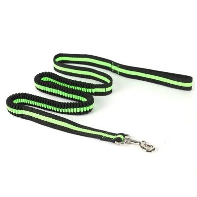 Paws & Son ™ Active - laisse élastique pour chien - Vert