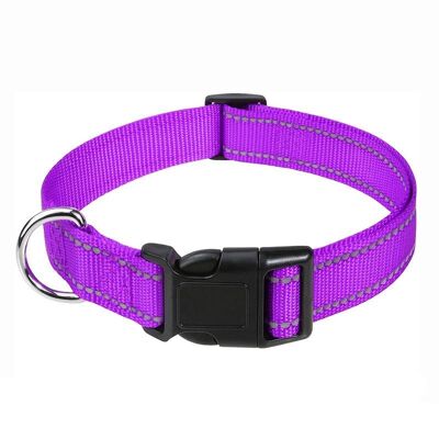 Paws & Son ™ Basic - Collar para mascotas - XS - Morado