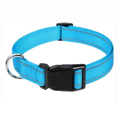 Paws & Son ™ Basic - Collier pour animaux - S - Turquoise