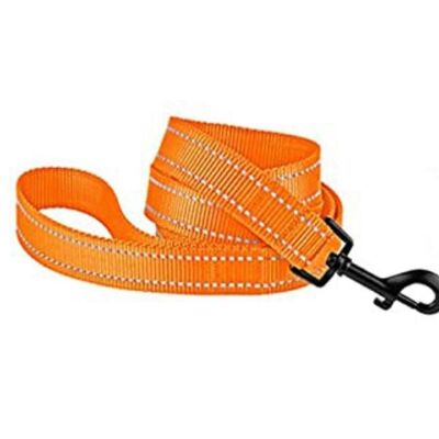 Paws & Son ™ Basic - Hundeleine - S - Orange