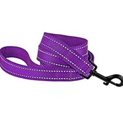 Paws & Son ™ Basic - Correa para mascotas - M - Morado