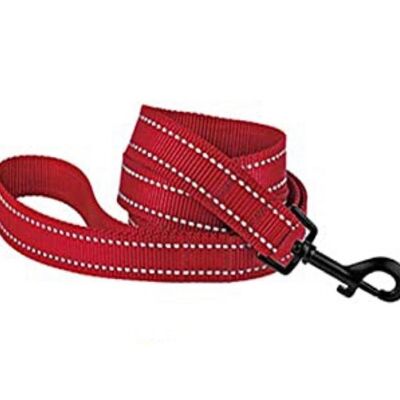 Paws & Son ™ Basic - Correa para mascotas - M - Rojo