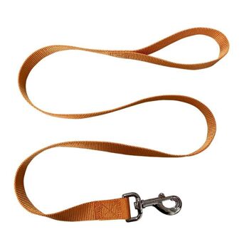 Paws & Son ™ Basic - Laisse pour animaux de compagnie - L - Marron 1