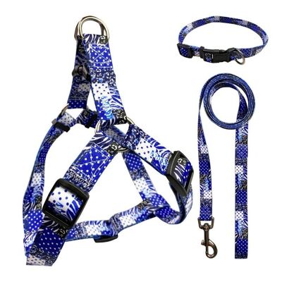 Paws & Son ™ Fancy - Ensemble harnais pour chien - XS - Bleu à pois