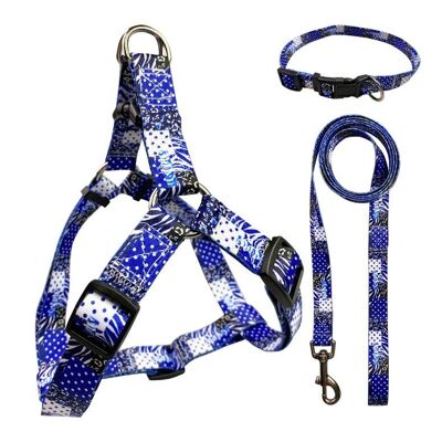 Paws & Son ™ Fancy - Hundegeschirrset - S - Blau gepunktet