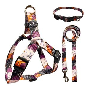 Paws & Son ™ Fancy - Ensemble harnais pour chien - M - Voiletti-orange