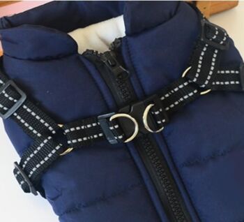 Veste d'hiver décontractée pour chien Paws & Son ™ - S - Bleu 3