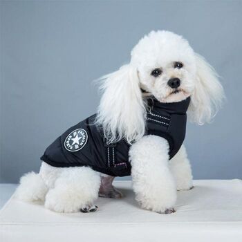 Veste d'hiver décontractée pour chien Paws & Son ™ - S - Bleu 5