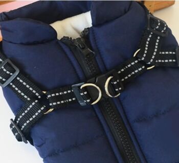 Paws & Son ™ Casual - manteau d'hiver pour chiens - L - Bleu 3