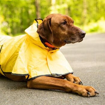 Paws & Son ™ Lite - Imperméable léger - M - Jaune 3