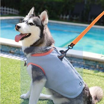 Paws & Son ™ Truelove - Gilet de refroidissement pour chien - M 3