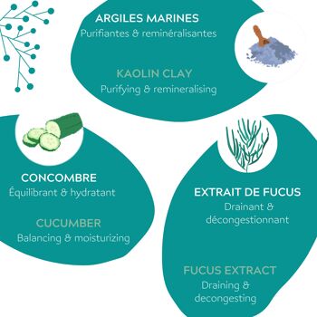 Masque Argile Détox Peau Nette certifié Bio Cosmos Organic - Ecocert 4