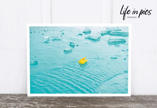 Life in Pic's Foto-Postkarte: Icefish