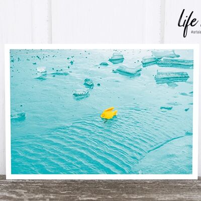 Life in Pic's Foto-Postkarte: Icefish