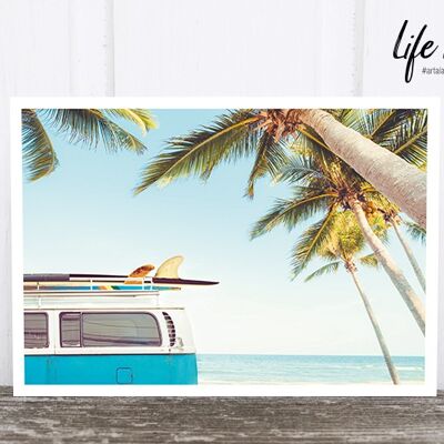 Life in Pic's Foto-Postkarte: Beach bully