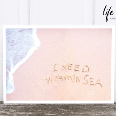 La vie dans la carte postale photo de Pic : Vitamin sea