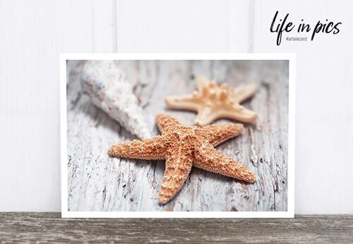 Life in Pic's Foto-Postkarte: Starfish