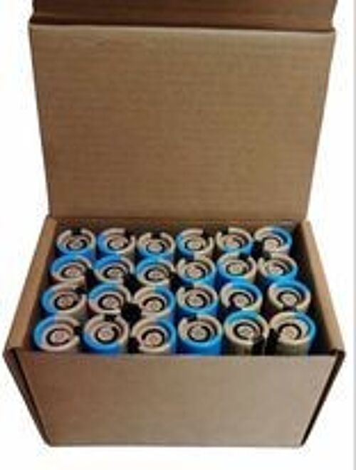 Organic Eucalyptus Lip Balm - Full Case - 24 pieces BUNDLE - 100% paper packaging