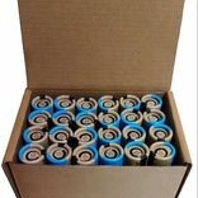 Organic Eucalyptus Lip Balm - Full Case - 24 pieces BUNDLE - 100% paper packaging