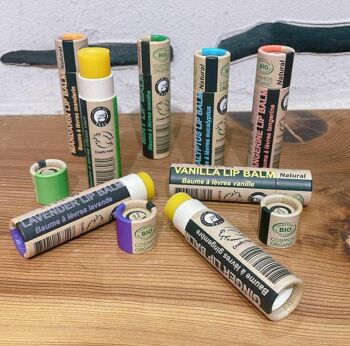 Baume à lèvres à l'eucalyptus biologique - Étui complet - BUNDLE de 24 pièces - Emballage 100% papier 19