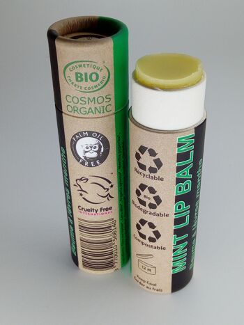 Baume à lèvres à la menthe poivrée biologique - Étui complet - BUNDLE de 24 pièces - Emballage 100% papier
