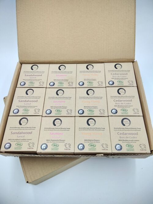 Organic Solid Soap -  Mixed case starter - 48 piece BUNDLE - 6 of each - 100% Paper Packaging