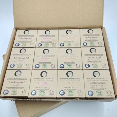 Organic Solid Soap -  Mixed case starter - 48 piece BUNDLE - 6 of each - 100% Paper Packaging