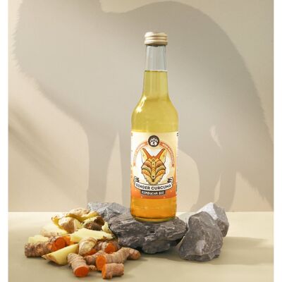 R-KOMBUCHA - Ginger Curcuma - 33cl