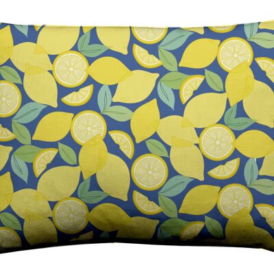 Lemon Party Outdoor Cushion