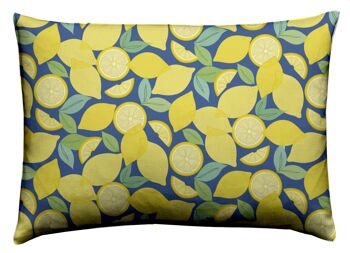 Coussin d'extérieur Lemon Party 1