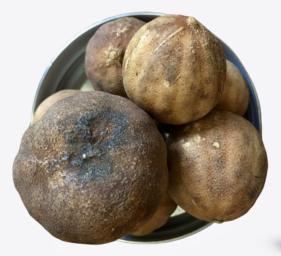 Chef-Format 1 bis 5 kg – Limoo oder getrocknete Zitrone