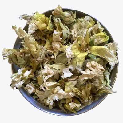 Chef size 5 kgs - Dried flower Khatmi