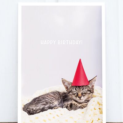 Life in Pic's Foto-Postkarte: Birthday cat