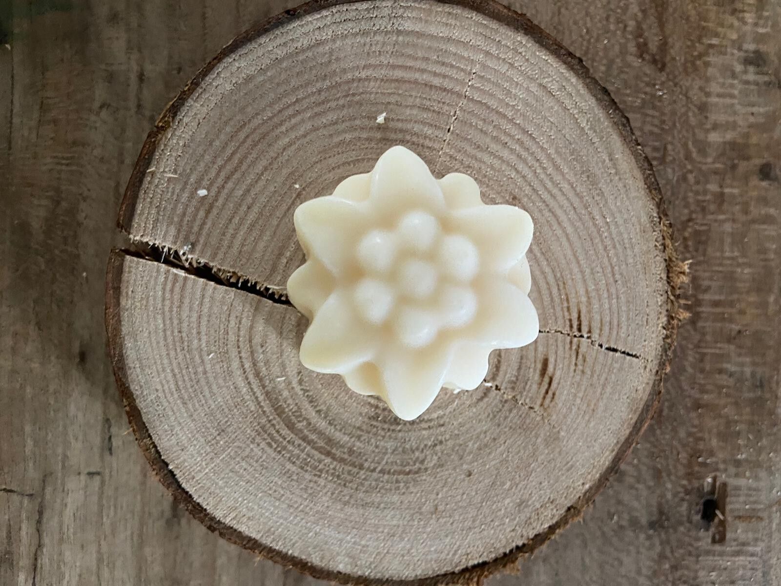 Eselsmilch und Rosmarinseife - 20g