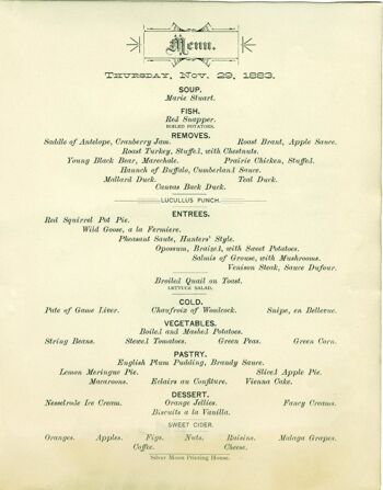 Windsor Hotel, St Paul, Thanksgiving 1883 - A4 (210x297mm) impression d'archives (sans cadre) 1