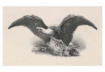 Détail de l'aigle américain au sommet de la tournée du président Theodore Roosevelt dans le nord-ouest 1902 - 50x76cm (20x30 pouces) Tirage d'archives (Sans cadre) 2