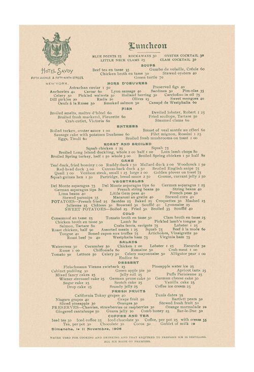 Hotel Savoy, New York 1906 - A3+ (329x483mm, 13x19 inch) Archival Print (Unframed)