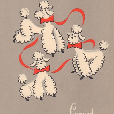 Cunard Poodles, RMS Franconia, 1956 - A4 (210x297mm) Archival Print (Unframed)