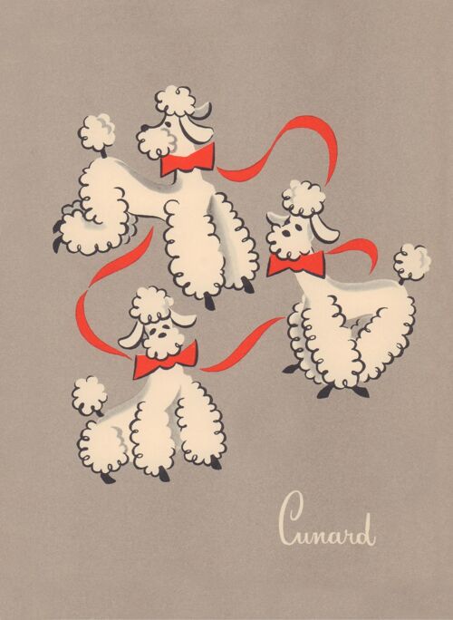 Cunard Poodles, RMS Franconia, 1956 - A3 (297x420mm) Archival Print (Unframed)