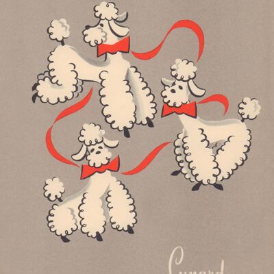 Cunard Poodles, RMS Franconia, 1956 - A3 (297x420mm) Archival Print (Unframed)