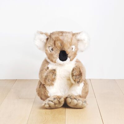 Mon koala felicien - grand- 50 cm