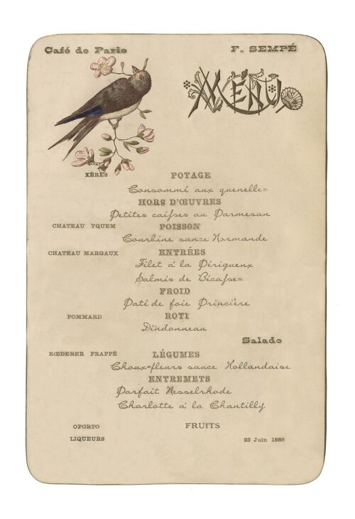 Café de Paris (Bird), Buenos Aires, June 1888 - A4 (210x297mm) Archival Print (Unframed)