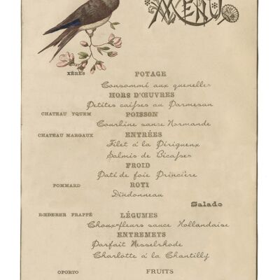 Café de Paris (Vogel), Buenos Aires, Juni 1888 - A4 (210 x 297 mm) Archivdruck (ungerahmt)