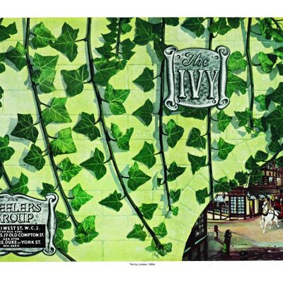 Wheeler's The Ivy, Londra, anni '50 - A3 (297 x 420 mm) Stampa d'archivio (senza cornice)