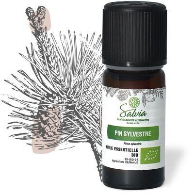 Scots pine - organic essential oil * - 10mL