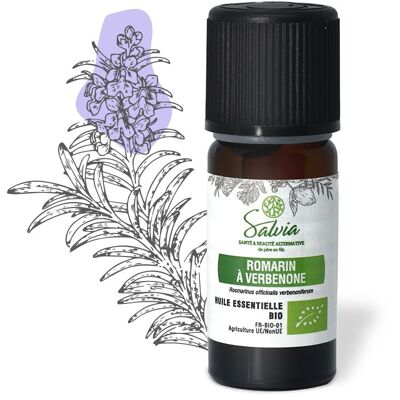 Rosemary verbenone - organic essential oil * - 10mL