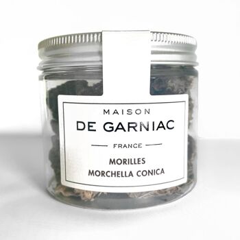 Morilles séchées - Morchella conica (20g) 1