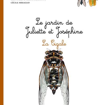Juliette and Josephine's garden - The cicada