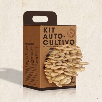Kit d'auto-culture de champignons