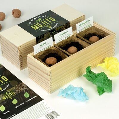 Mojito self-cultivation kit